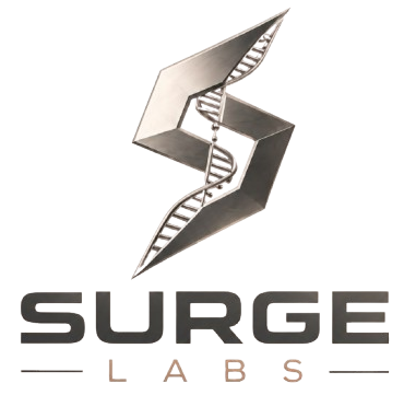 Surge Labs